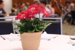 NRV_LeadingLights_250429_027